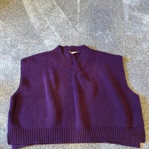 Free People Purple V-Neck Top